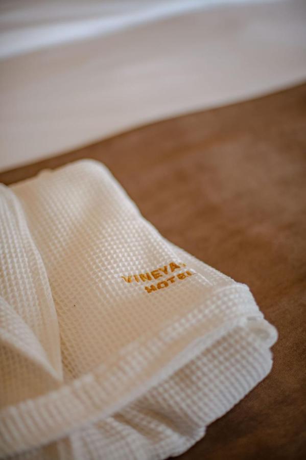 Vineyard Hotel & Winery Napareuli 외부 사진