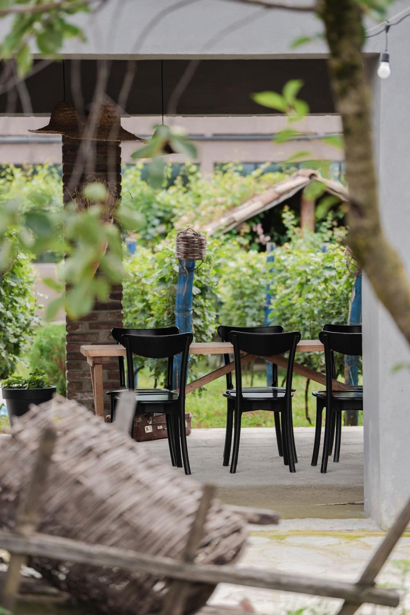 Vineyard Hotel & Winery Napareuli 외부 사진