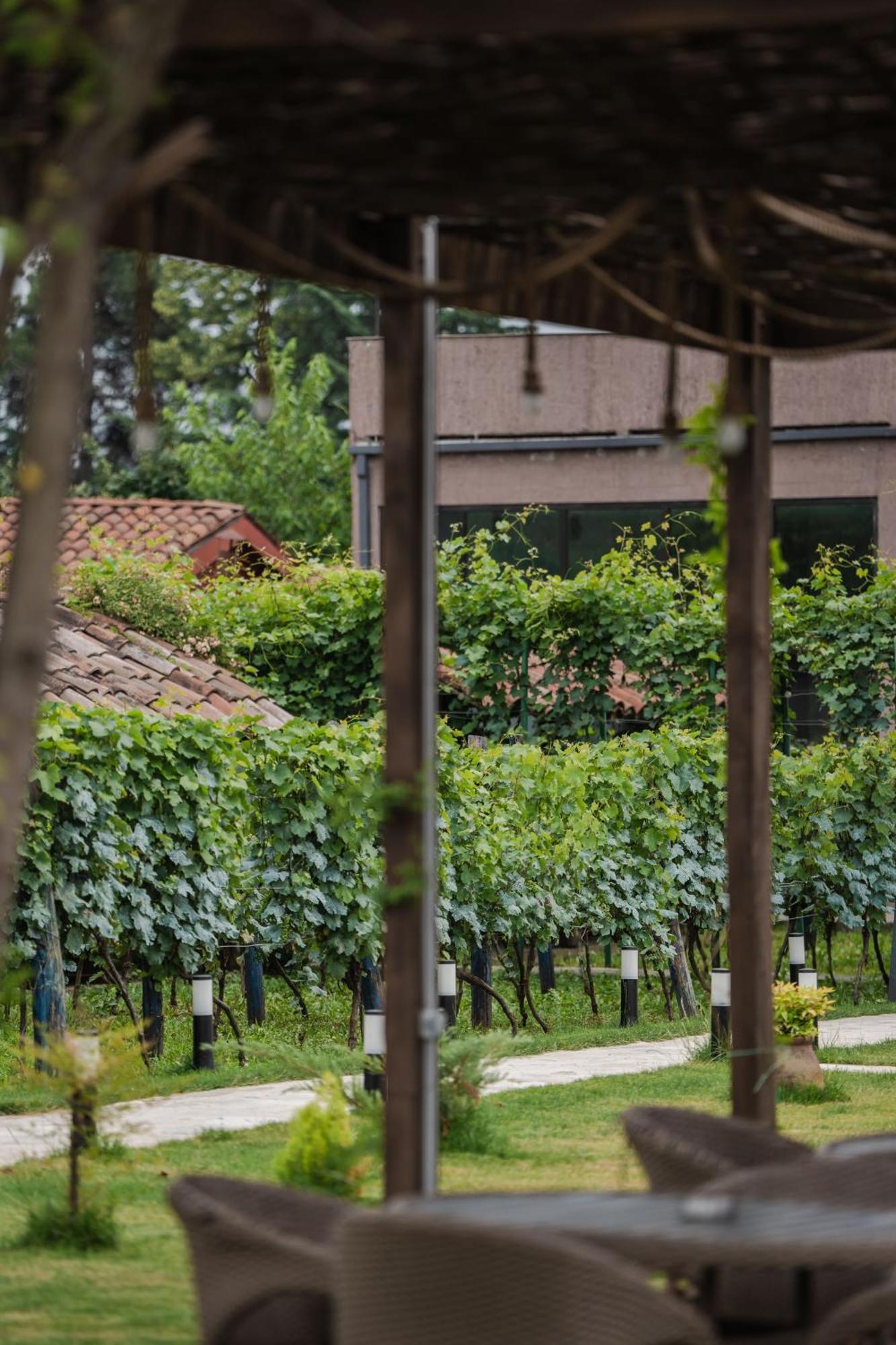 Vineyard Hotel & Winery Napareuli 외부 사진